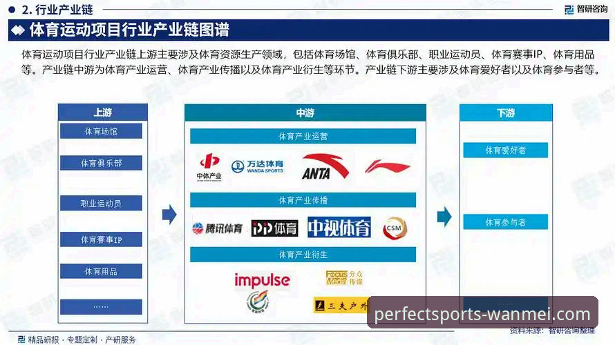 体育赛事平台发展全面解析：从用户体验到技术迭代的深度分析
